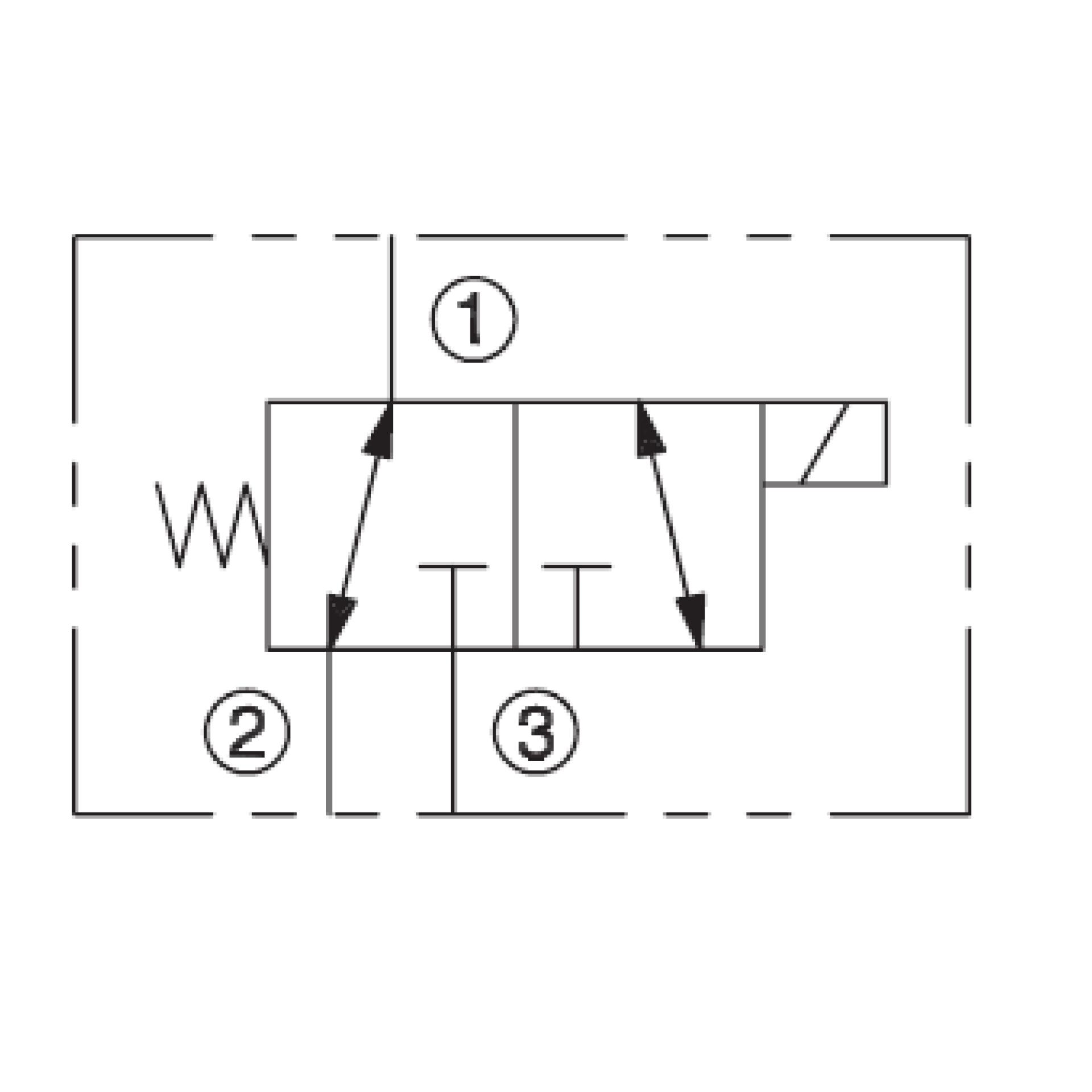 DSV3-100-3 Schematic