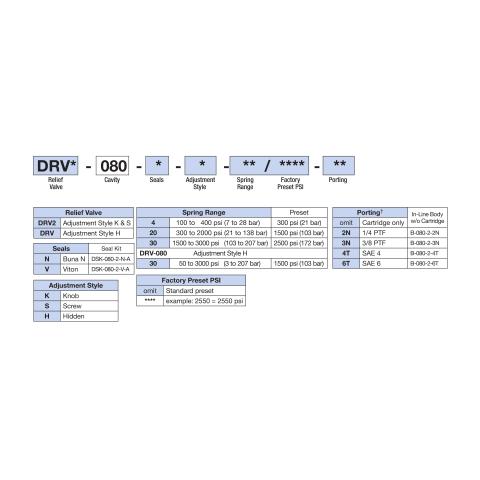 DRV2-080 How to Order