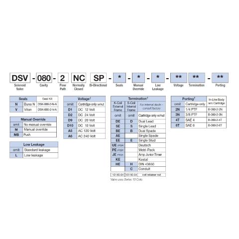 DSV-080-2NCSP How to Order